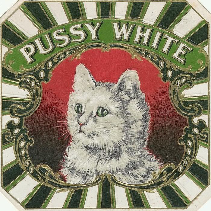 Vintage Victorian Cats Kittens adverts pets children postcards 600